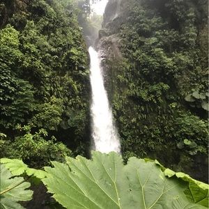 Meet your Posher, Ariceli