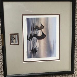 Ducks Unlimited Picture