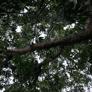 Meet your Posher, Rick