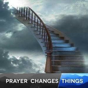 Meet your Posher, Misty