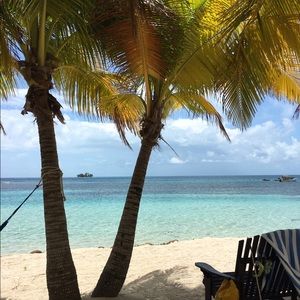 Meet your Posher, Alison