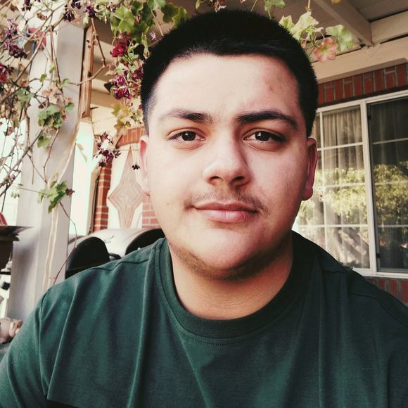 Meet your Posher, Fabian - Picture 1 of 1