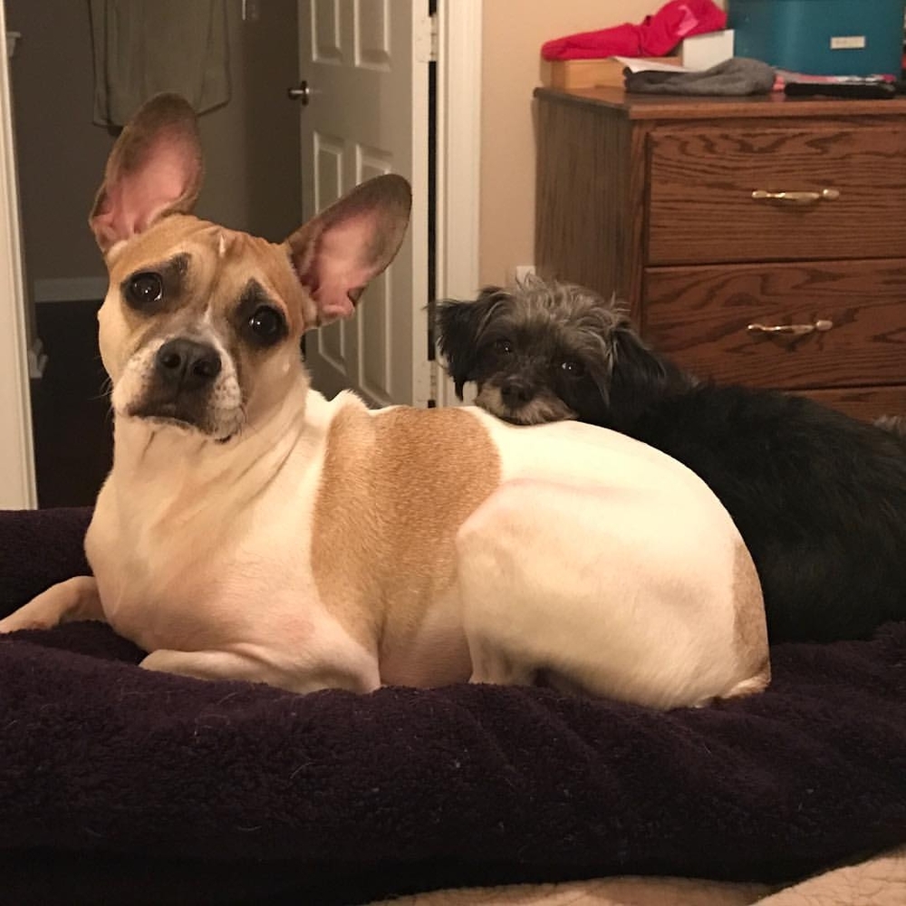 Meet your Posher, Marie