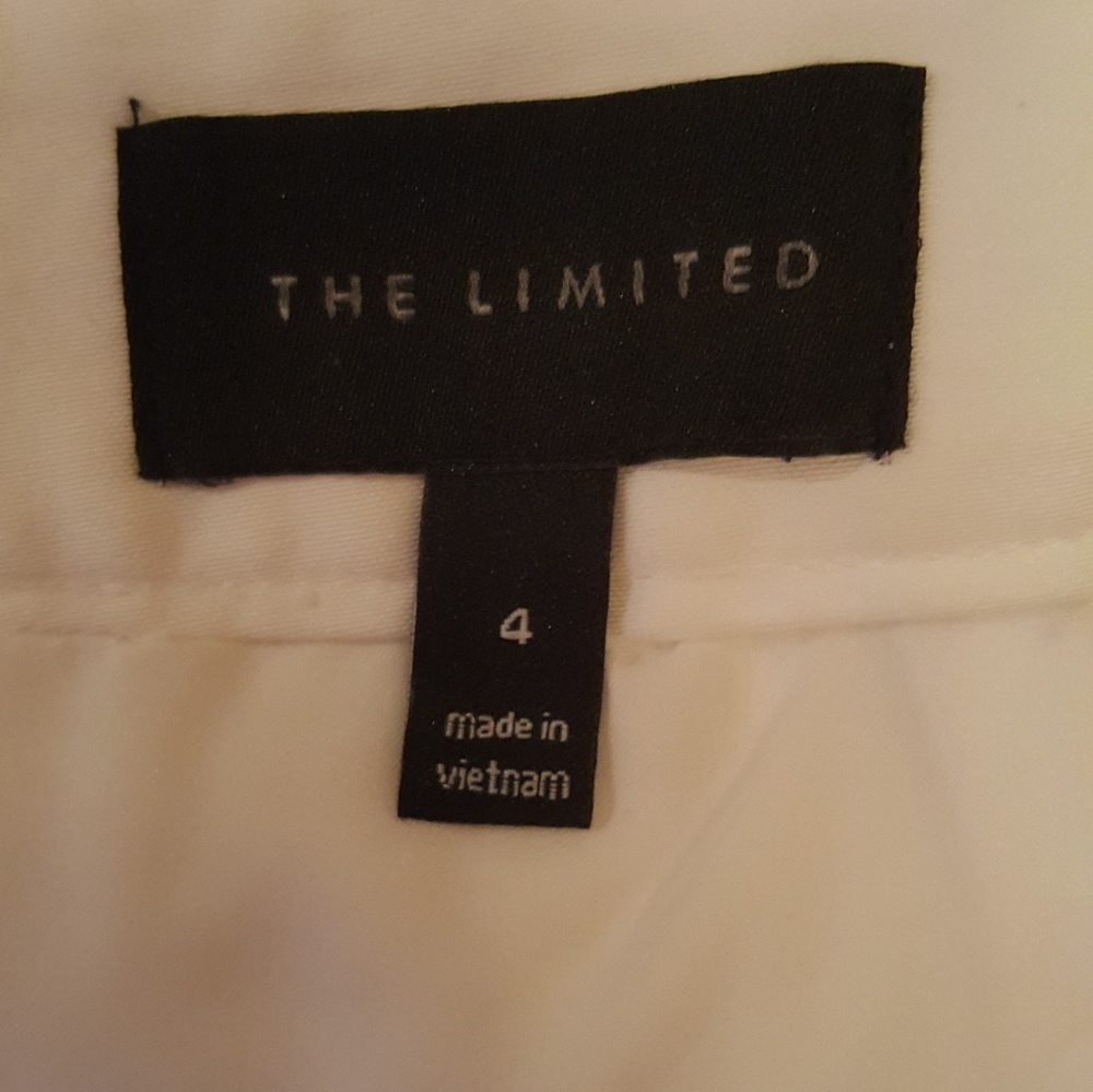 The Limited Short Skirt - Picture 3 of 3