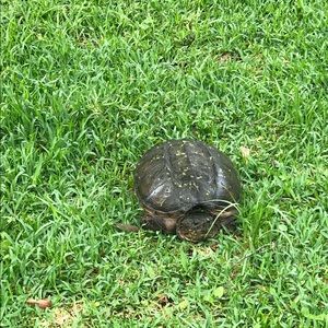 Meet your Posher, Crista