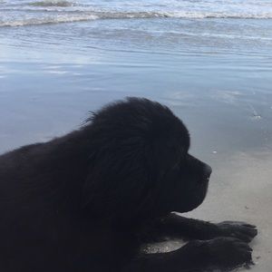 Meet your Posher, Cathy