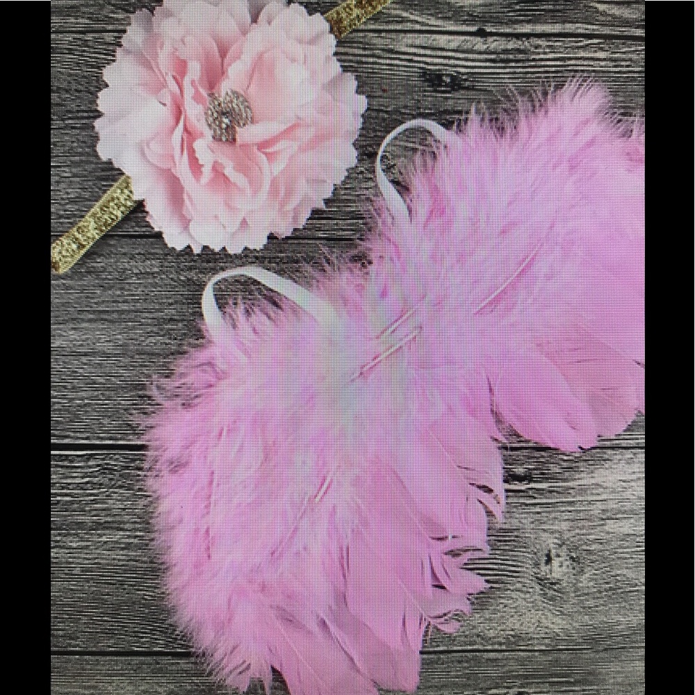 Baby's  Feather Angel Wings with Flower Headband