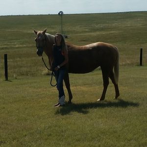 Meet your Posher, Emily