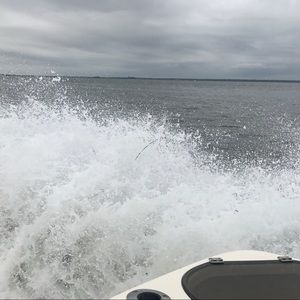 Meet your Posher, Kari