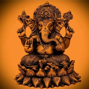 Meet your Posher, Joyce