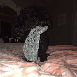 Meet your Posher, Zoe