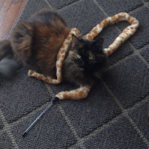 Meet your Posher, Beth