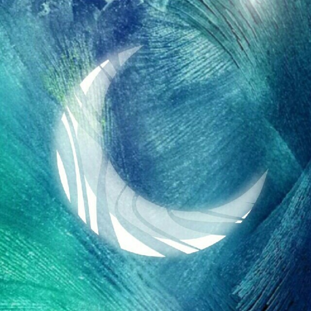 Meet your Posher, Suzette