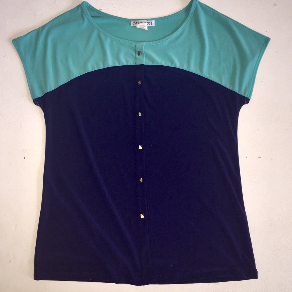 Carol Rose Blue Color Block Shirt