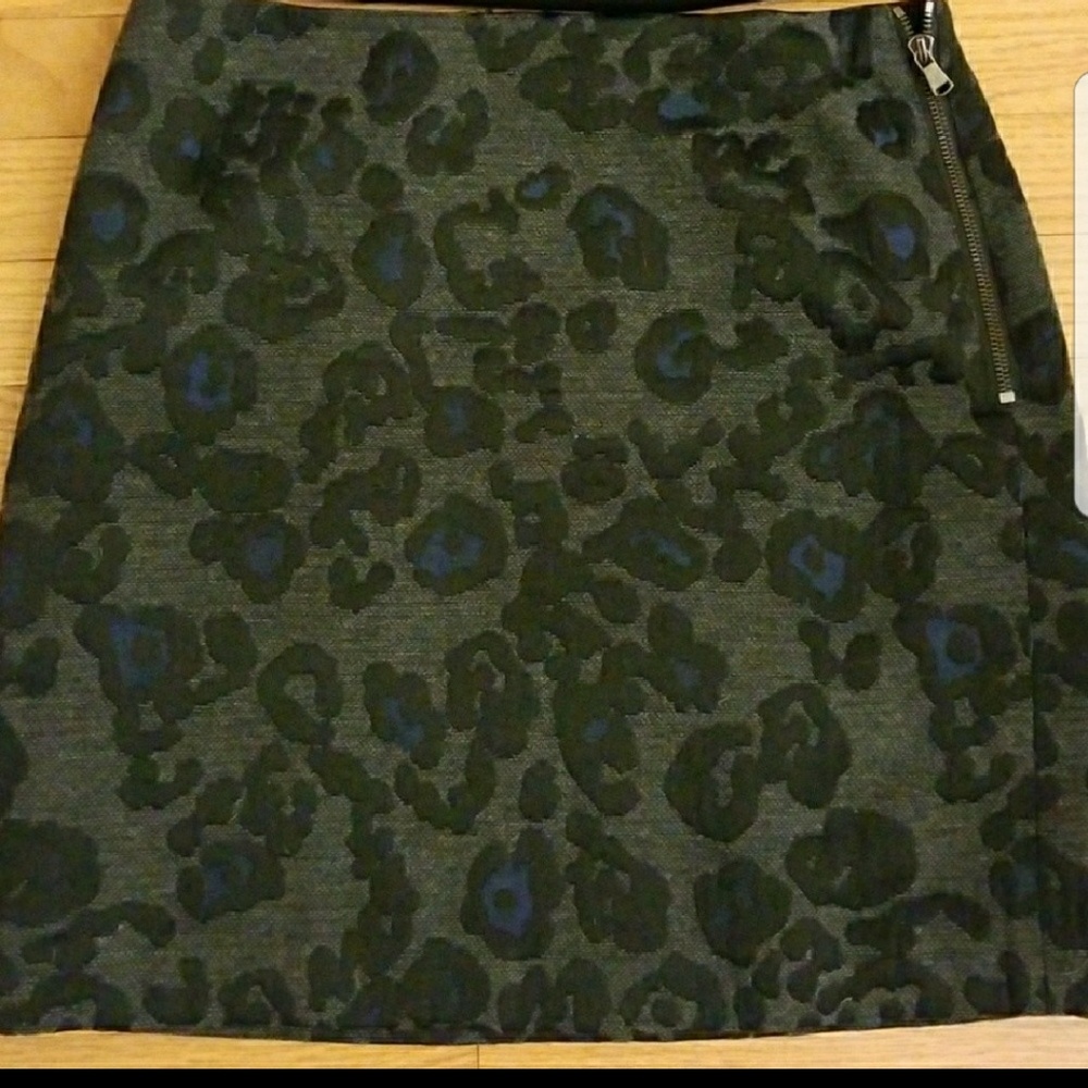 Ann Taylor Skirt
