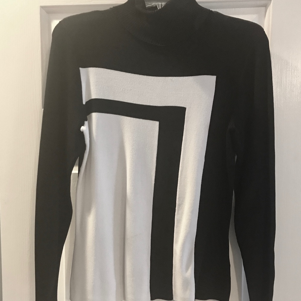 Fitted Turtleneck Sweater