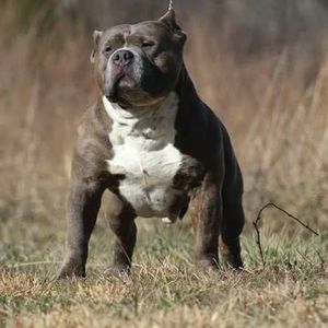 Meet your Posher, Stephanie n david