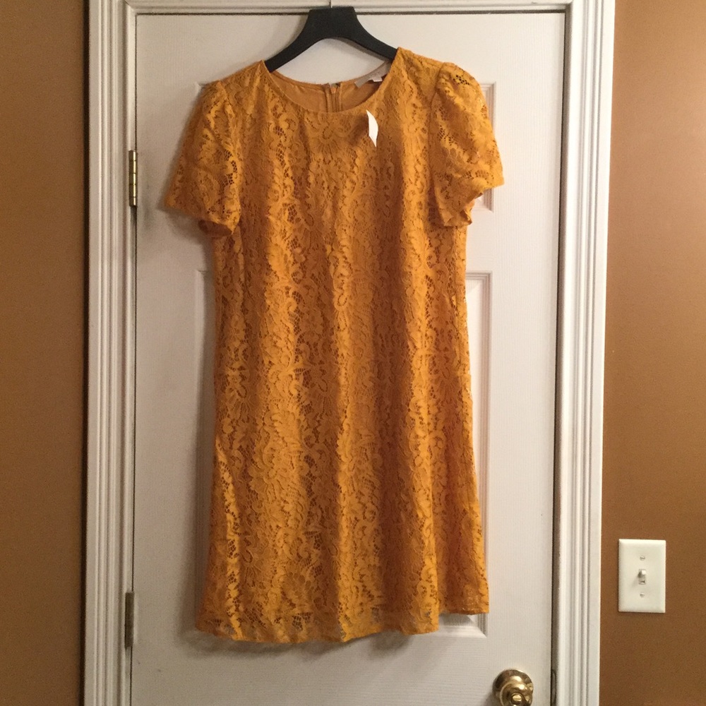 LOFT Dress. NWT!