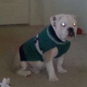 Meet your Posher, Jason