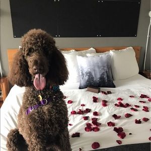 Meet your Posher, Elisabeth