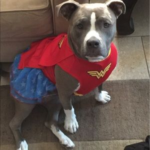 Meet your Posher, Violet