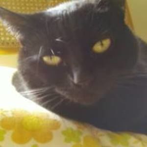 Meet your Posher, Suzanne