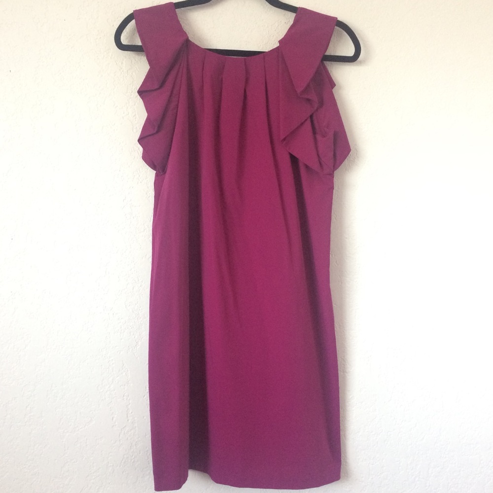 Diane von Furstenburg Fuschia Dress
