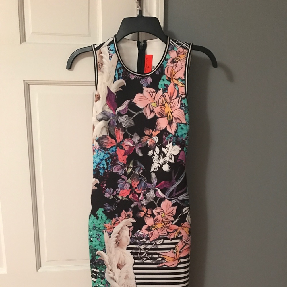 women's clover canyon dress