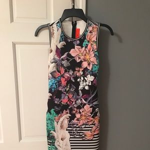 women's clover canyon dress