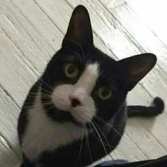 Meet your Posher, Emily - Picture 1 of 1