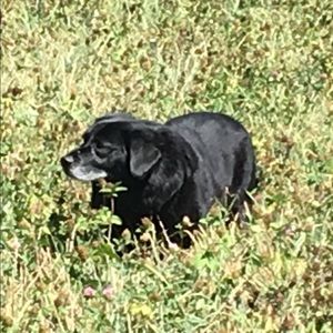 Meet your Posher, Sherri