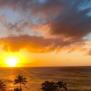 Meet your Posher, Fischer