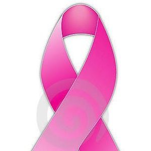 Meet your Posher, Sandy