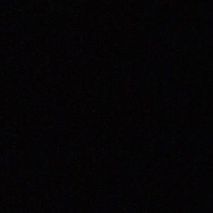 Meet your Posher, Randy