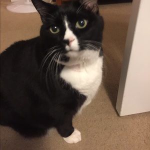 Meet your Posher, Eva