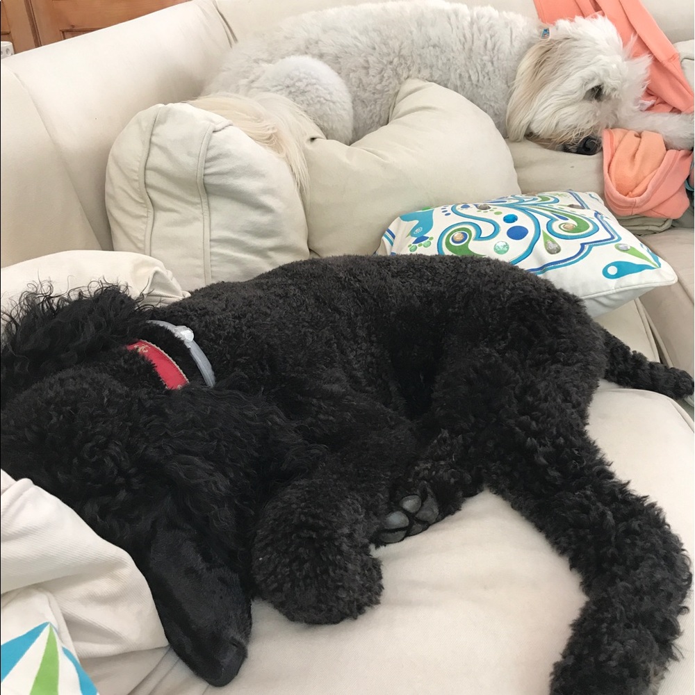 Meet your Posher, Sylvie