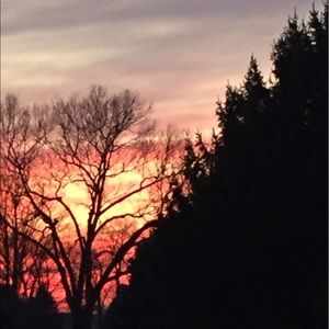 Meet your Posher, Larissa