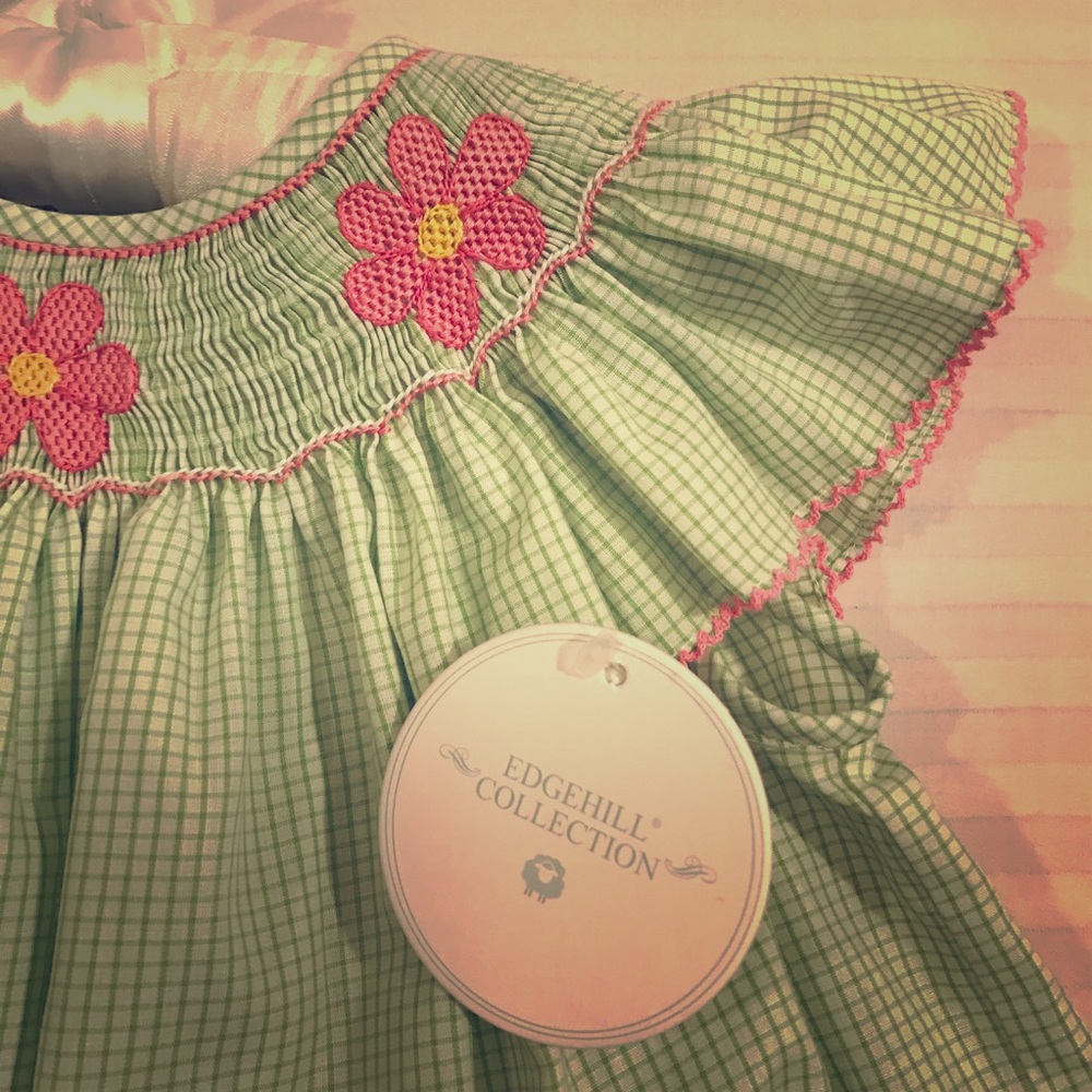 Edgehill Collection green checked pink flowers