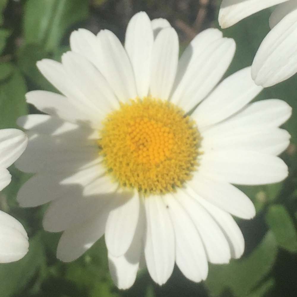 SPECIAL OFFER IN MY CLOSET!!