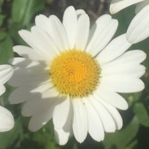 SPECIAL OFFER IN MY CLOSET!!