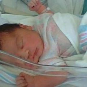 Meet your Posher, Dee