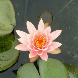 Meet your Posher, Jeffrey