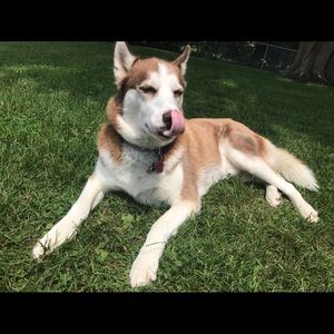 Meet your Posher, William