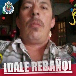 Meet your Posher, Martin