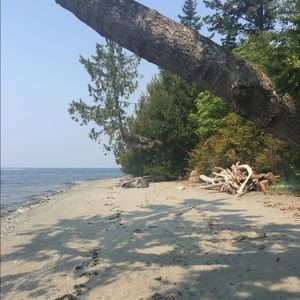 Meet your Posher, Vivian