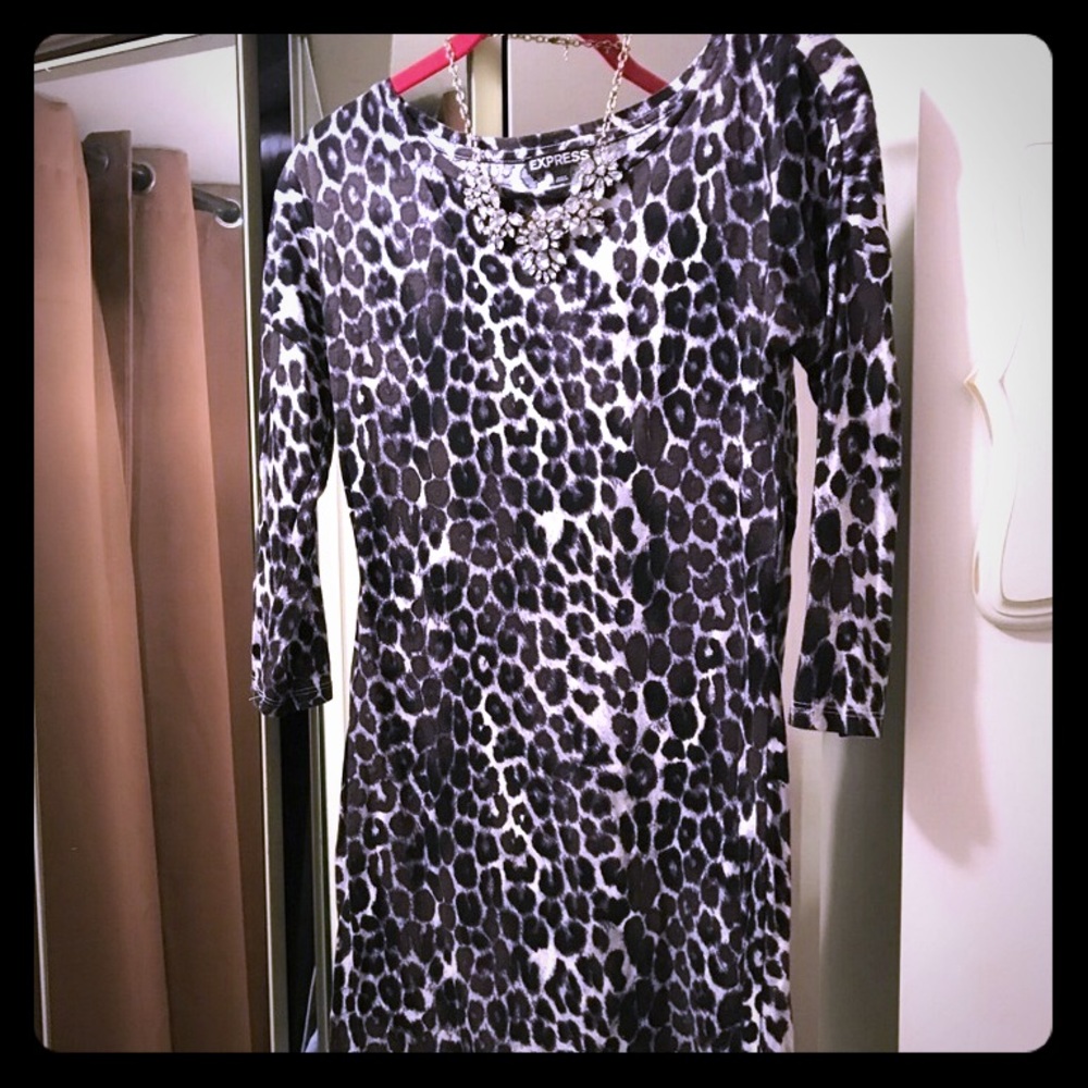 Express Leopard Dress