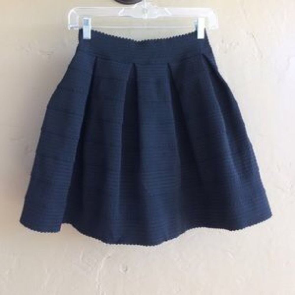 Express Black Pleated Skirt