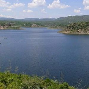 Meet your Posher, Leonor