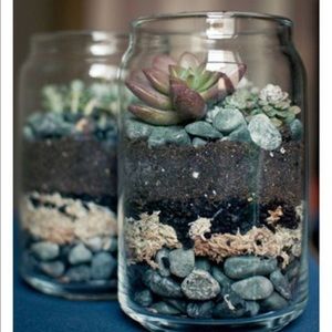 Meet your Posher, Mona