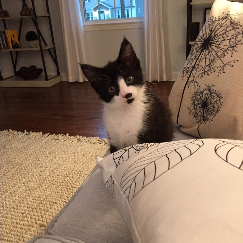 Meet your Posher, Barbara